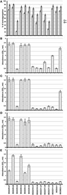 Novel Aggregation Promoting Factor AggE Contributes to the Probiotic Properties of Enterococcus faecium BGGO9-28